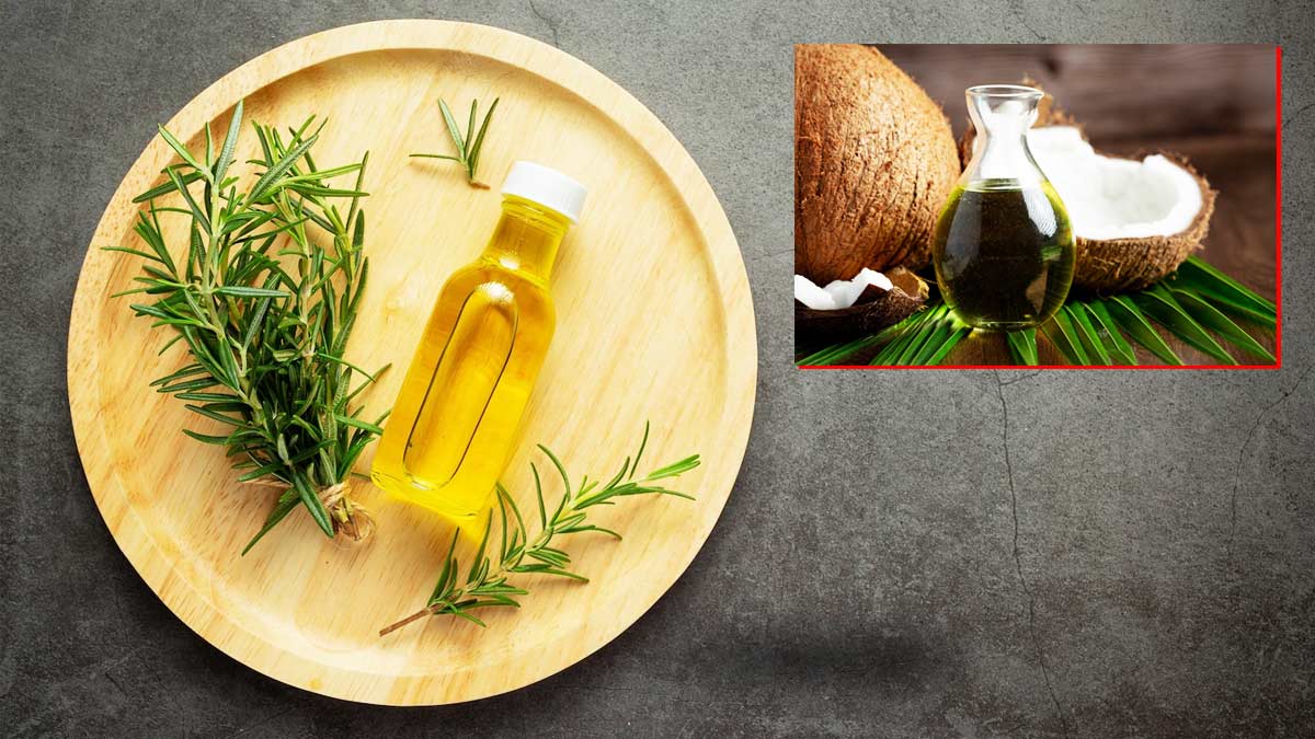 टी ट्री ऑयल और नारियल का तेल करेगा पीठ के मुंहासों को खत्म, जानें